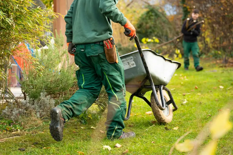 A landscaper pushing a loaded wheelbarrow across a lawn.